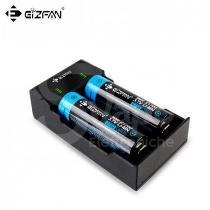 Caricabatterie-Caricabatterie EFAN NC2 - 2 Slot per batteria agli ioni di litio