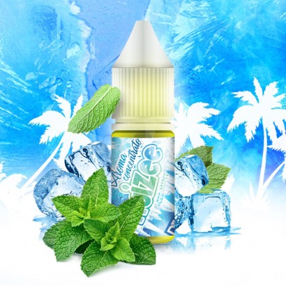 Aromi Concentrati-Icee Mint FRUIZEE - Aroma Concentrato 10ml