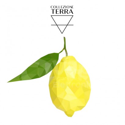 Tirs 20+40-Collection Natural Aroma Terra - Citron 20ml-Collezione Terra - OS Project