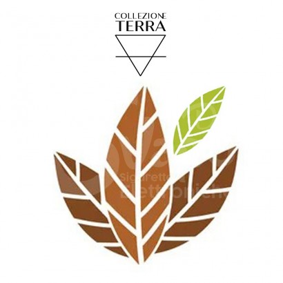 Shots 20+40 Natural Aroma Terra Collection - Tobacco and Basil 20ml