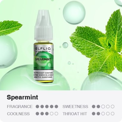 Ready Liquids 10ml Elfliq Spearmint - Liquido Pronto 10ml
