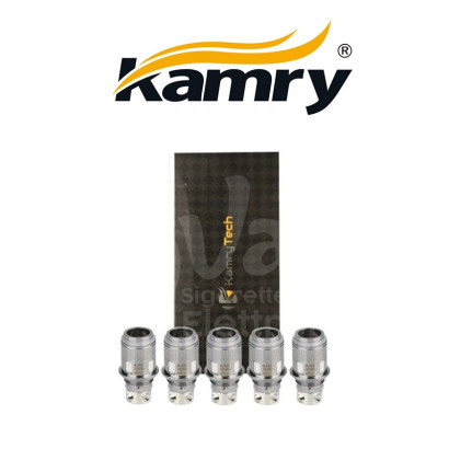 Widerstände für elektronische Zigaretten-Rohrwiderstände KamryTech K1000 Plus 0,5 oHm - 5 Stück-KamryTech